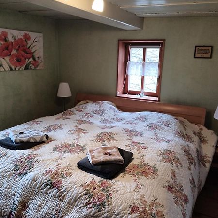 Oekologische Ferienwohnung Becker Kottmar 외부 사진