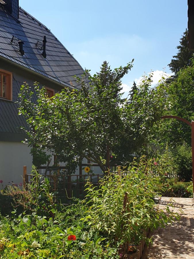 Oekologische Ferienwohnung Becker Kottmar 외부 사진